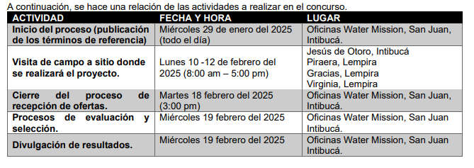 Cronograma de consultoría SJ