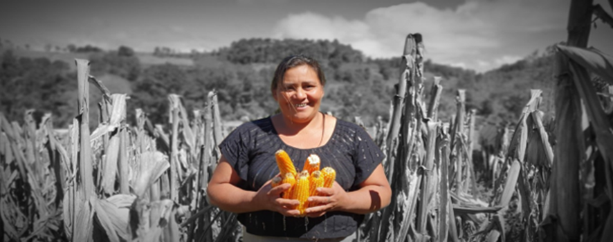 CARE INTERNACIONAL